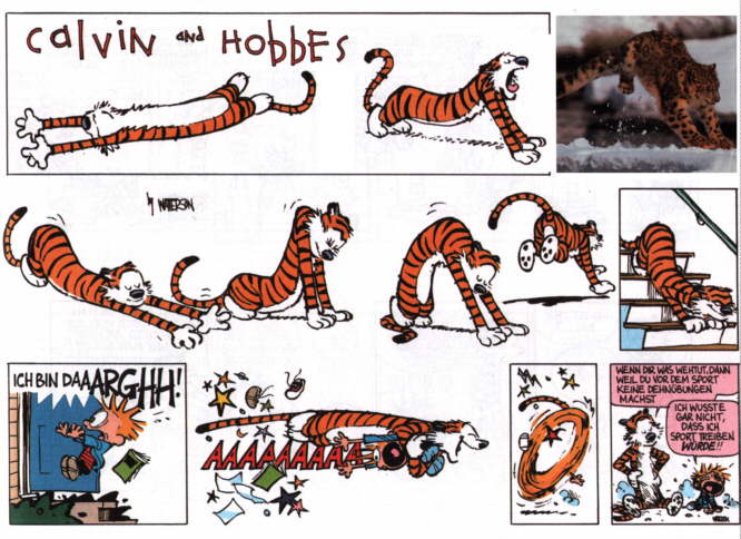 Calvin & Hobbes 17