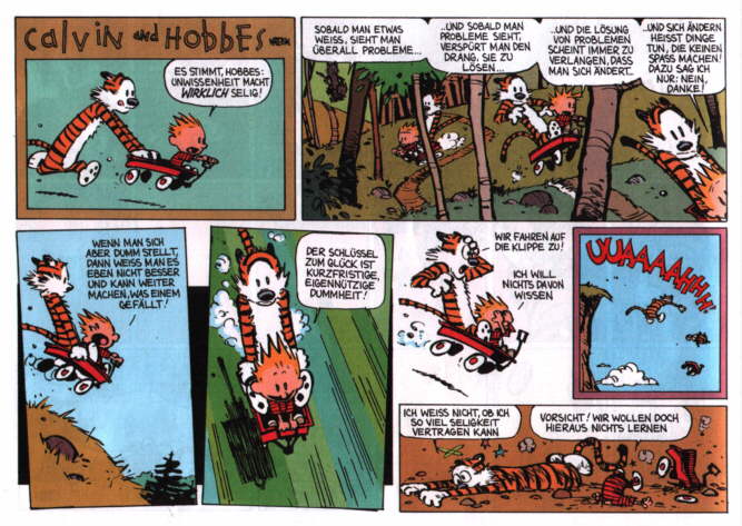 Calvin & Hobbes 18