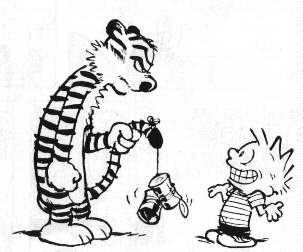  Calvin and Hobbes 