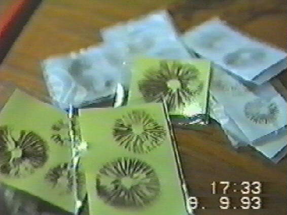 33 K AO spores